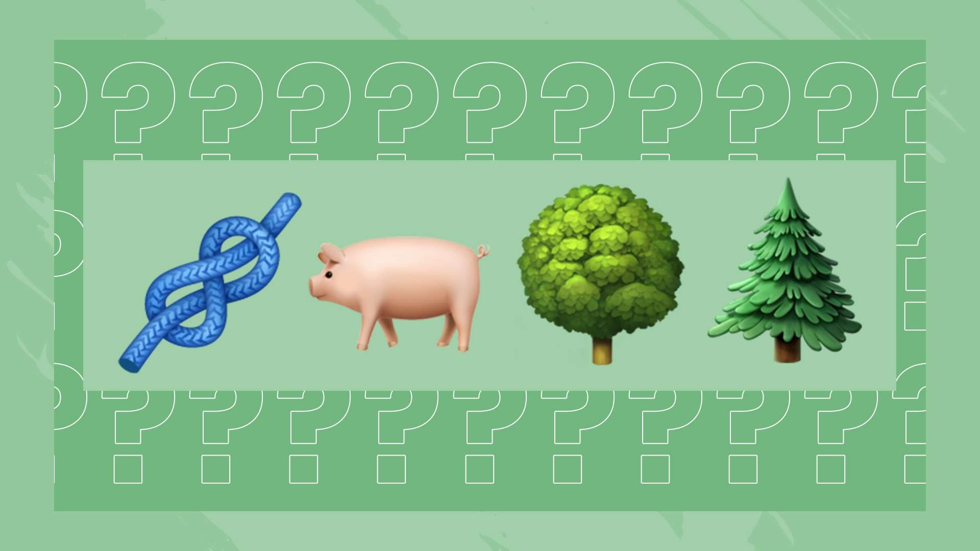 範迪克的場 範迪克的場