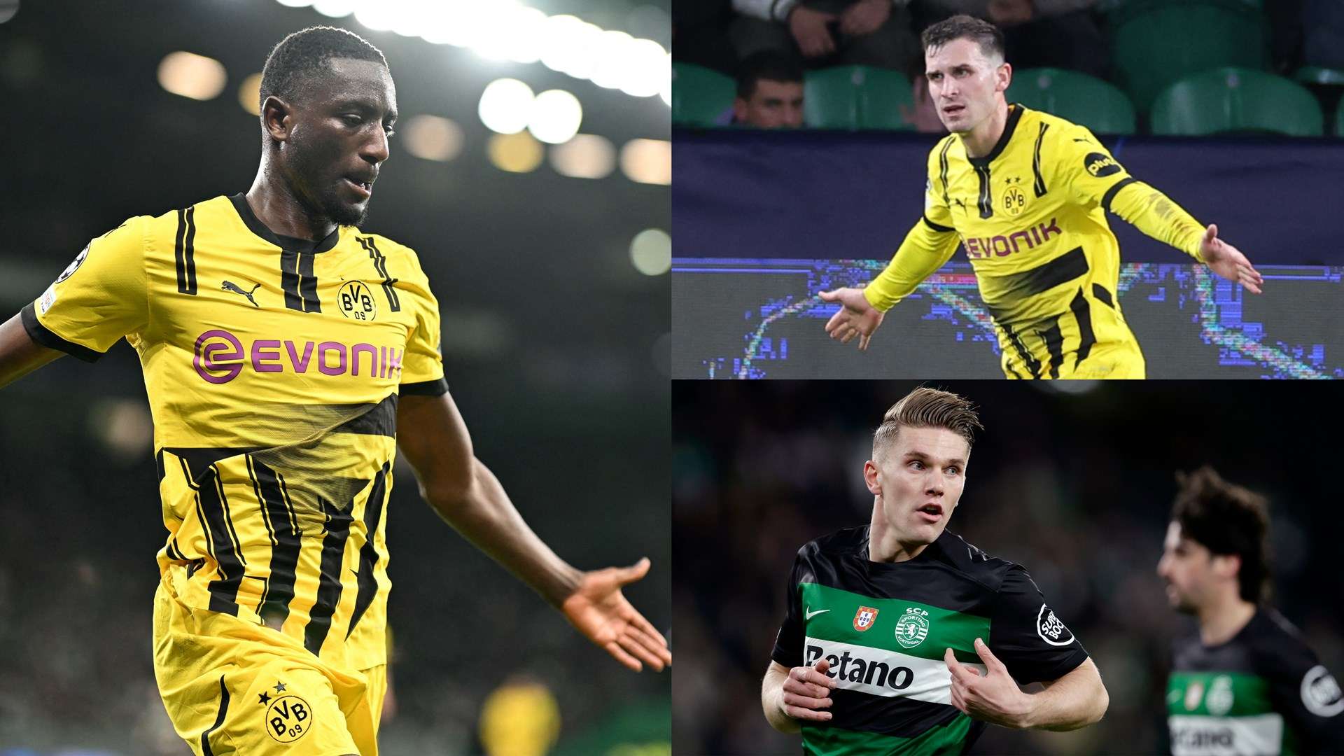 猛龙内线统 猛龙内线统