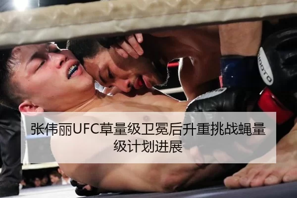 张伟丽UFC草量级卫冕后升重挑战蝇量级计划进展